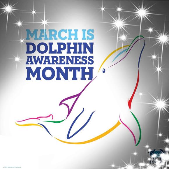 Meet your Posher, Ellen - Picture 1 of 1